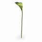 Künstlicher Zweig Kamelie grün-weiß 55 cm