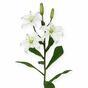 Künstlicher Zweig Lilie weiß 50 cm