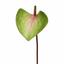 Künstliches Blatt Anthurie rosa-grün 50 cm