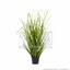 Künstliches Grasbündel Schilfrohr im Blumentopf 60 cm