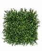 Künstliches Paneel Buxus - 25x25 cm