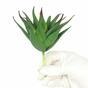 Die künstliche Pflanze Aloe 13,5 cm