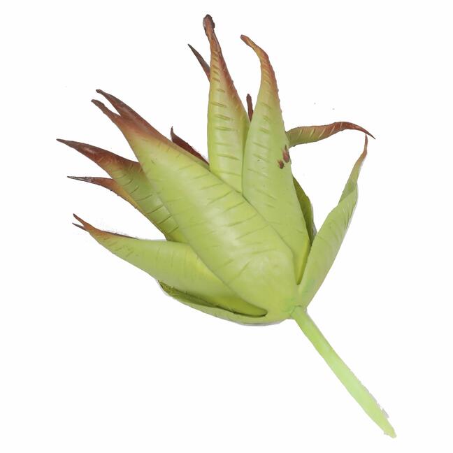 Die künstliche Pflanze Aloe rot 13,5 cm
