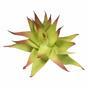Die künstliche Pflanze Aloe rot 13,5 cm