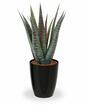 Kunstpflanze Aloe Vera 30 cm