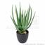 Kunstpflanze Aloe Vera 45 cm