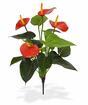Kunstpflanze Anthurie rot 40 cm