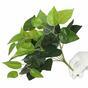 Kunstpflanze Basilikum grün 25 cm