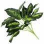 Die künstliche Pflanze Dieffenbachia 50 cm