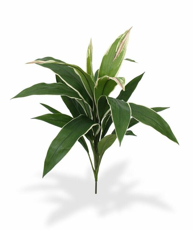 Kunstpflanze Dracena duftend 60 cm
