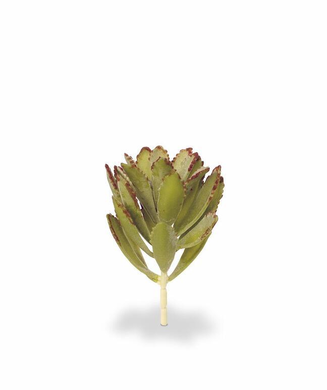 Kunstpflanze Eševéria 15 cm