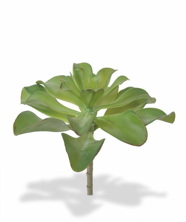 Kunstpflanze Eševéria 20 cm