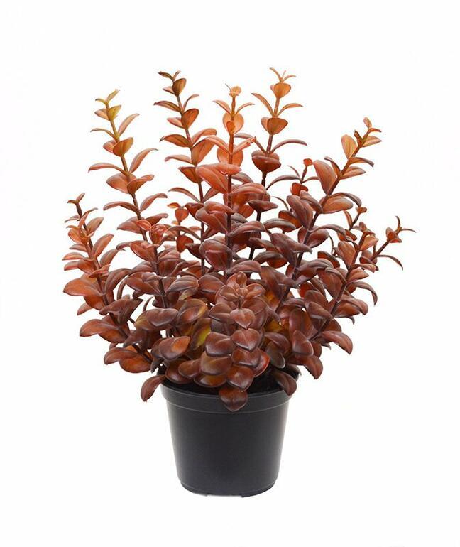 Kunstpflanze Eukalyptus burgunderrot 30 cm