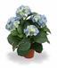 Kunstpflanze Hortensie blau 45 cm