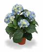 Kunstpflanze Hortensie blau 45 cm