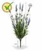 Kunstpflanze Lavendel blau 50 cm
