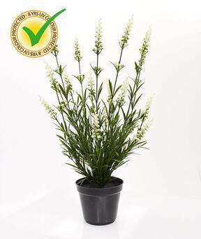 Kunstpflanze Lavendel weiß 50 cm