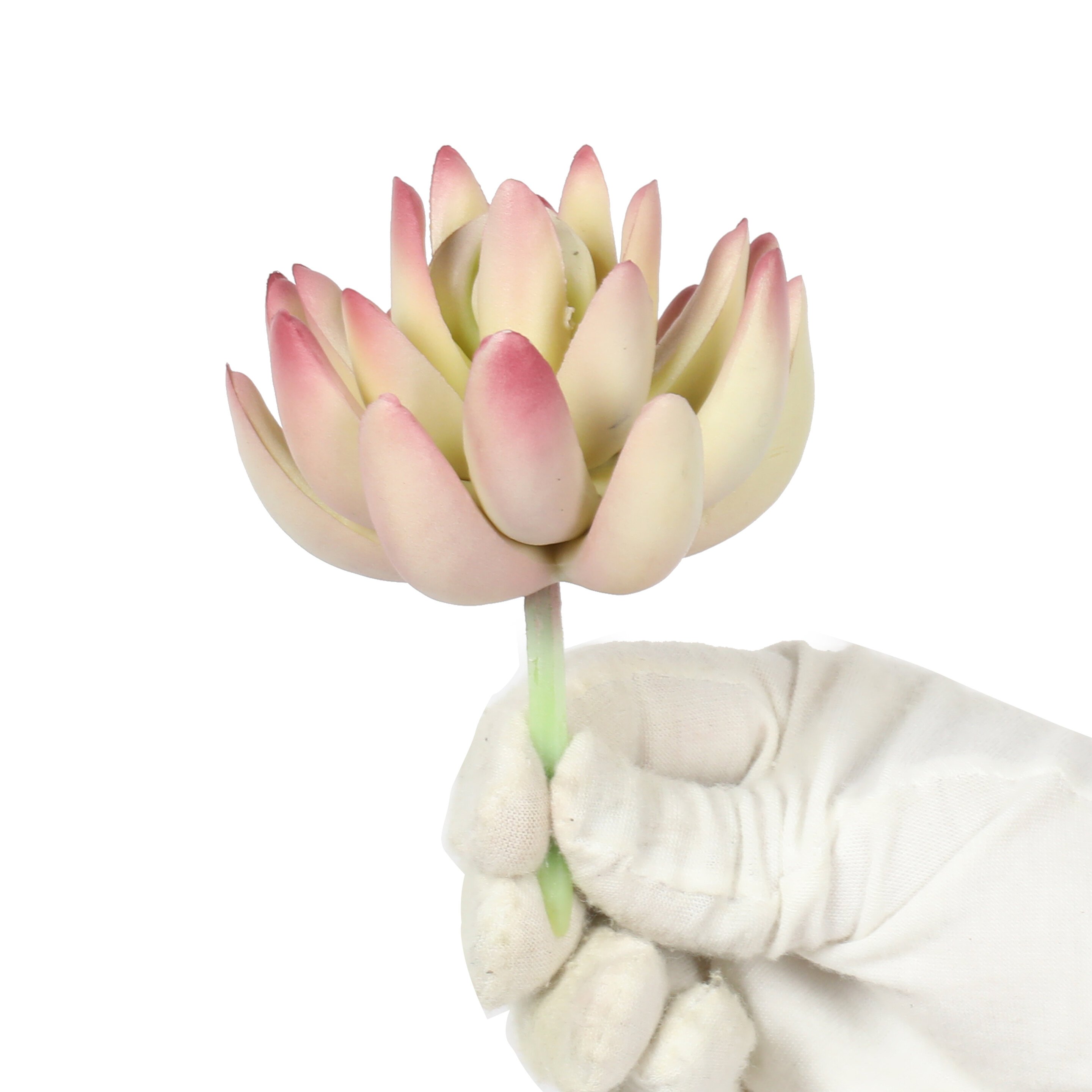 Kunstpflanze Lotus Echeveria 10 cm