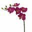 Kunstpflanze Orchidee lila 50 cm
