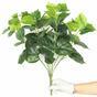 Die künstliche Pflanze Pavinič grün 45 cm