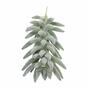 Die künstliche Pflanze Senecio haworthii 21 cm