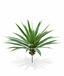 Kunstpflanze Yucca 55 cm