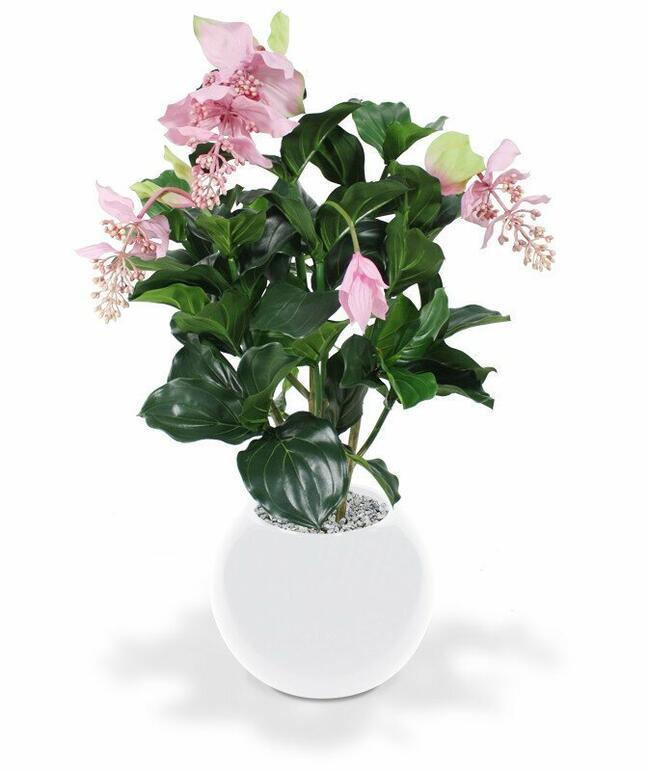 Medinila Kunstpflanze schön 100 cm