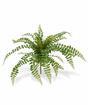 Rotundifolia Kunstpflanze 55 cm