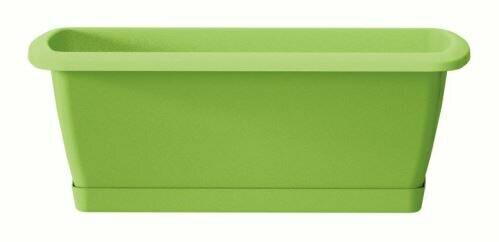 Schachtel mit Schale RESPANA SET lime 49,0 cm